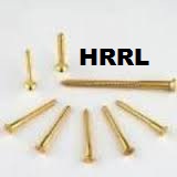 CSK Brass Wood Screws Exporter